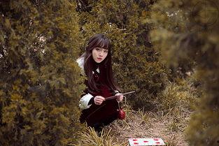 森林秘密在线观看,揭秘神秘森林的奇幻之旅  第1张