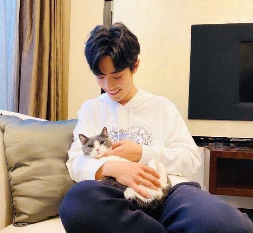 肖战爸爸爆料视频大全下载,揭秘明星家庭背后的故事  第2张